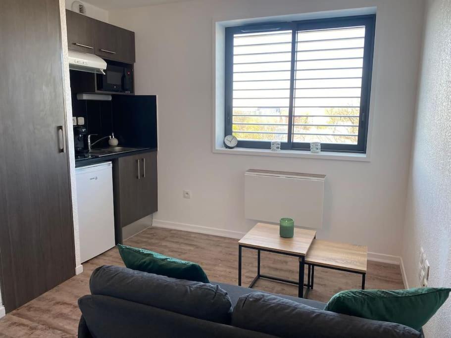 La Suite Griffon - Parking & Balcon Toulouse Exteriör bild